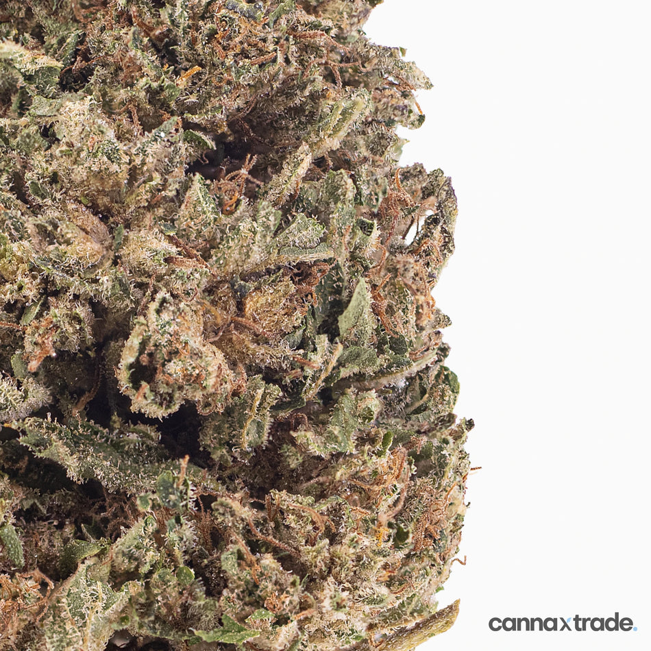 Flower | 'Bubba Kush' | CBD | 100g Sample