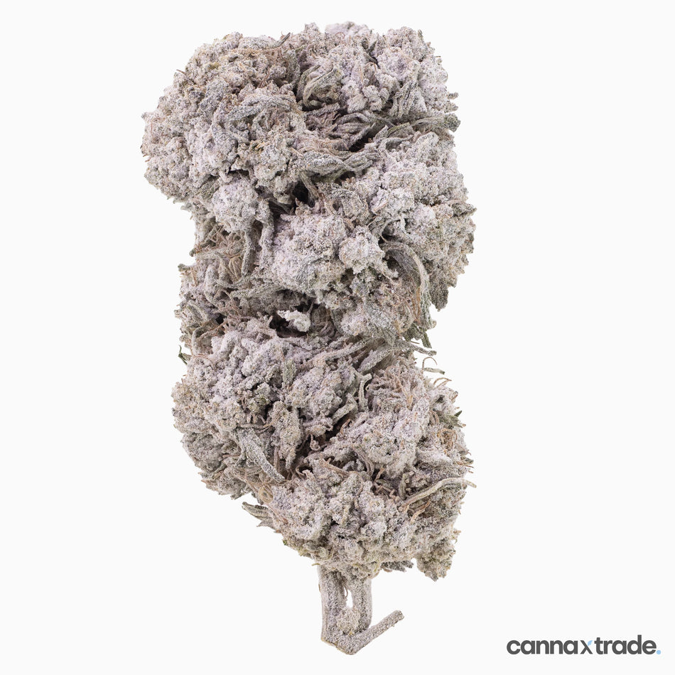 Flower | 'Diesel 25' | THCA | Coated | 100g Sample
