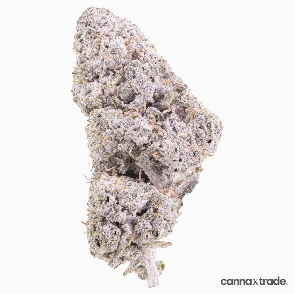 Flower | 'Durban Poison 23' | THCA | Coated | 100g Sample