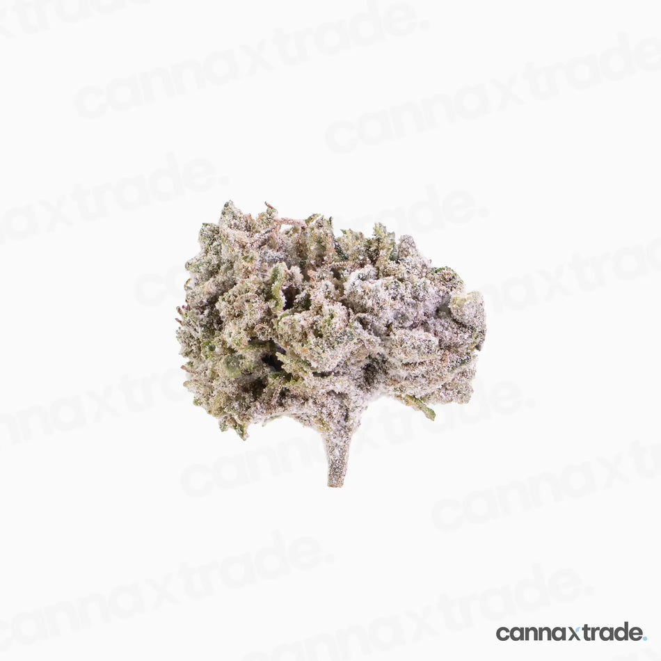 Flower | 'Orange Small 22' | THCA | Coated | 3g Sample