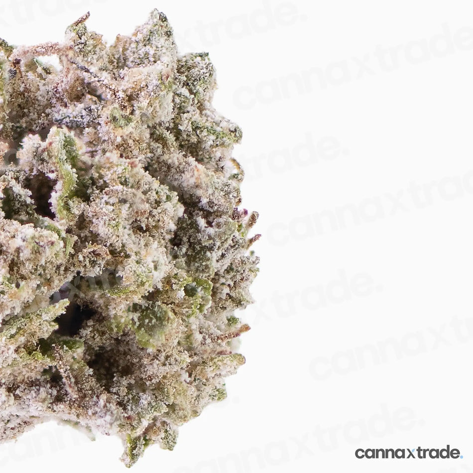 Flower | 'Orange Small 22' | THCA | Coated | 3g Sample