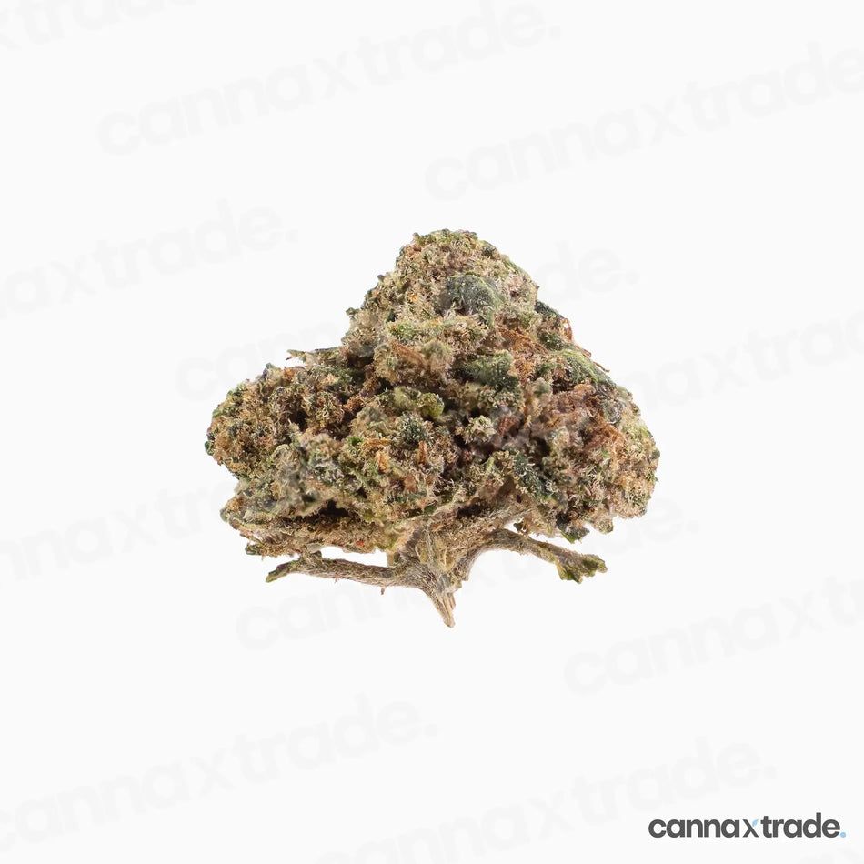 Flower | 'Orange Small Buds' | CBD | 3g Sample