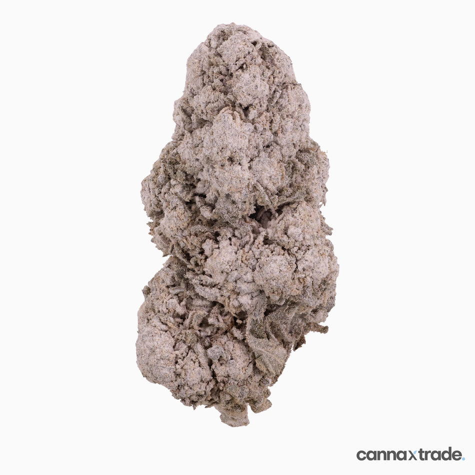 Flower | 'Raspberry Indoor 25' | THCA | Coated | 100g Sample