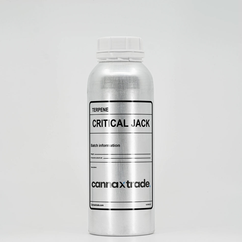 Terpene | 'Critical Jack' | Live Terpene Extract (LTE) | 2g Sample